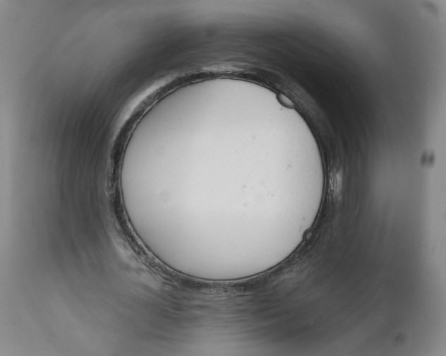 X0000110910724200907021434