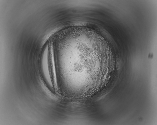 X0000110910725200907021434