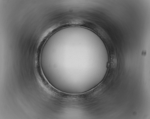 X0000110910726200907021434