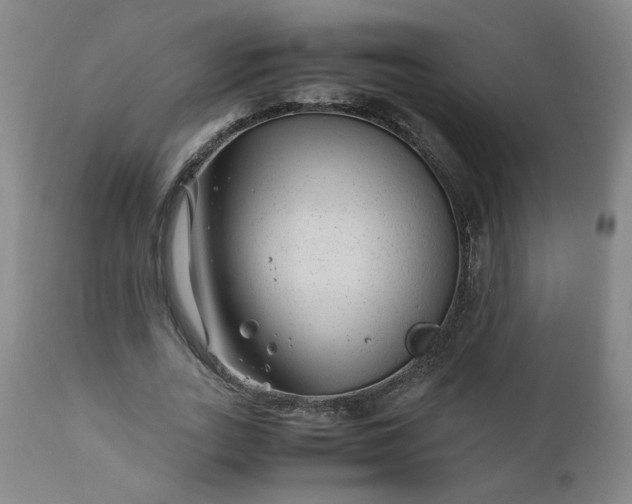 X0000110910727200907021434