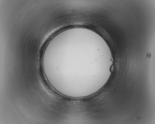 X0000110910728200907021434