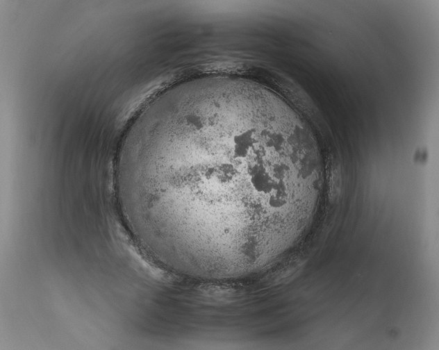 X0000110910729200907021434