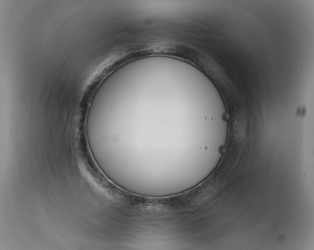 X0000110910730200907021434