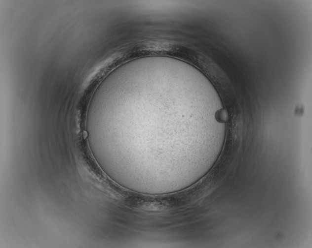 X0000110910731200907021434