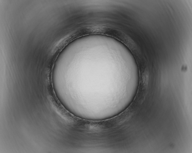 X0000110910733200907021434