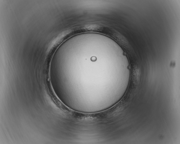 X0000110910734200907021434