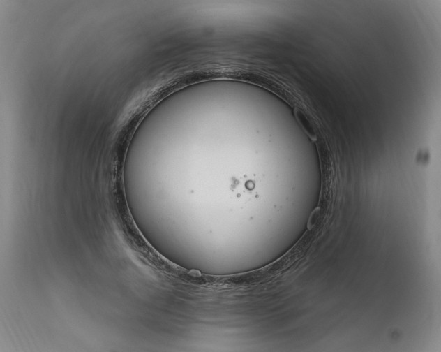 X0000110910736200907021434