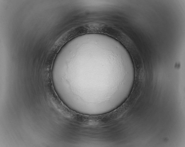 X0000110910737200907021434