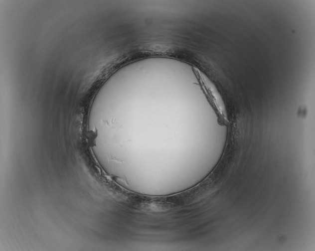 X0000110910739200907021434