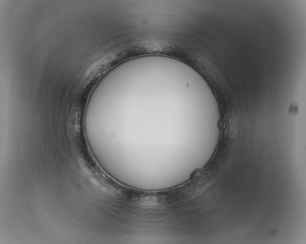 X0000110910740200907021434