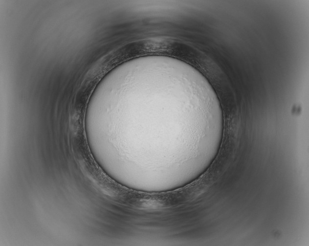 X0000110910741200907021434