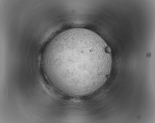 X0000110910742200907021434