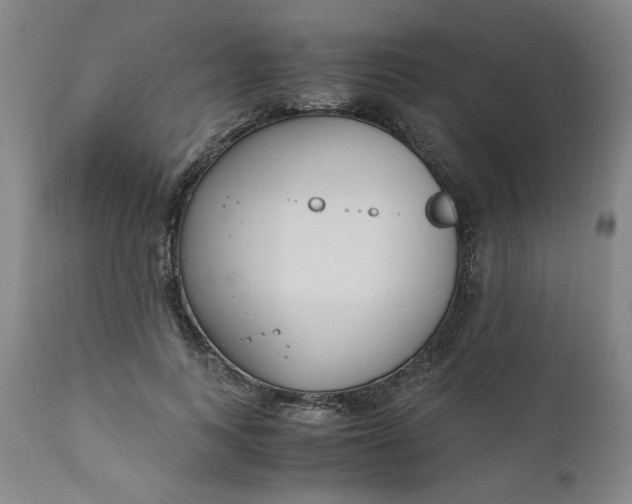 X0000110910743200907021434