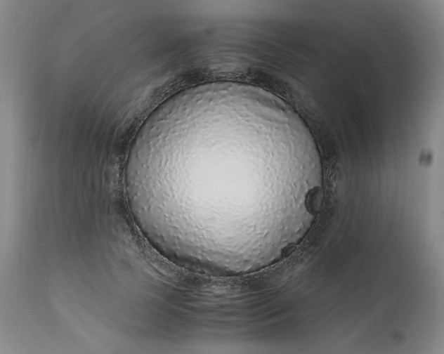 X0000110910745200907021434