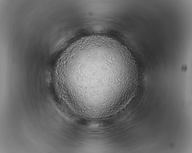 X0000110910746200907021434