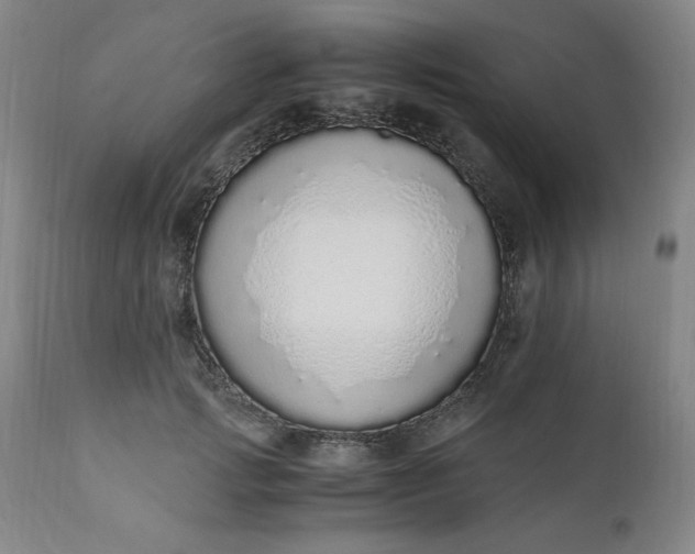 X0000110910749200907021435