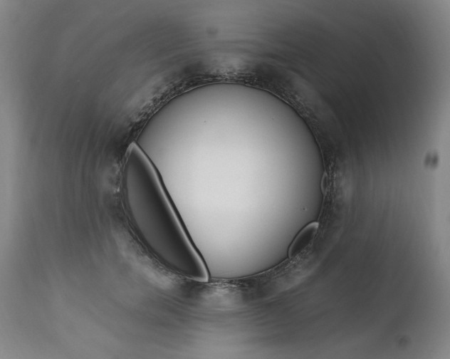 X0000110910750200907021435