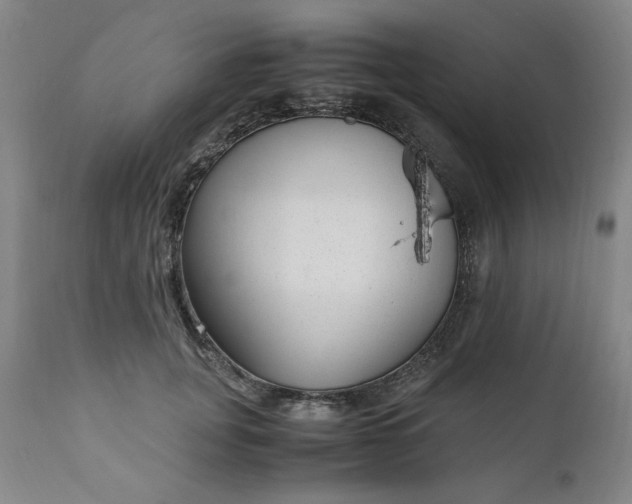 X0000110910751200907021435