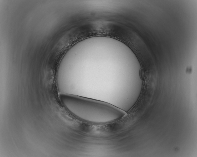 X0000110910752200907021435