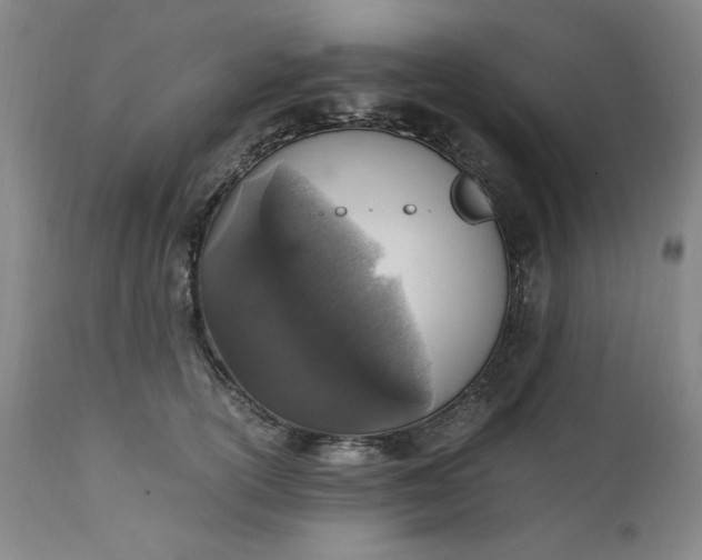 X0000110910754200907021435