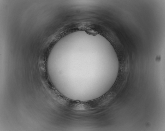 X0000110910755200907021435