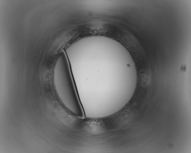 X0000110910756200907021435