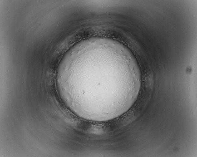 X0000110910757200907021435