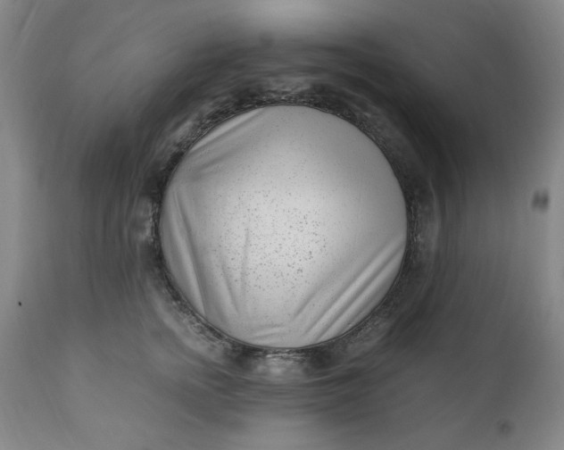 X0000110910758200907021435