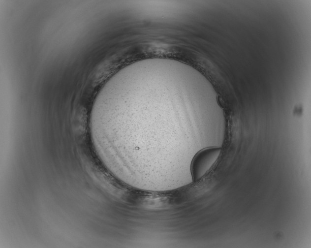 X0000110910760200907021435