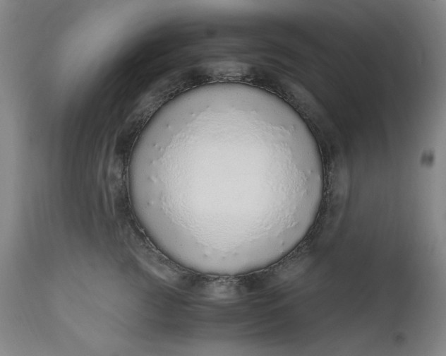 X0000110910761200907021435