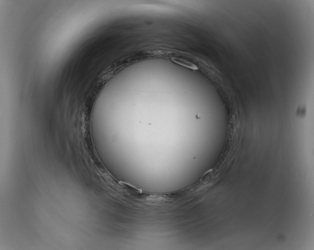 X0000110910762200907021435