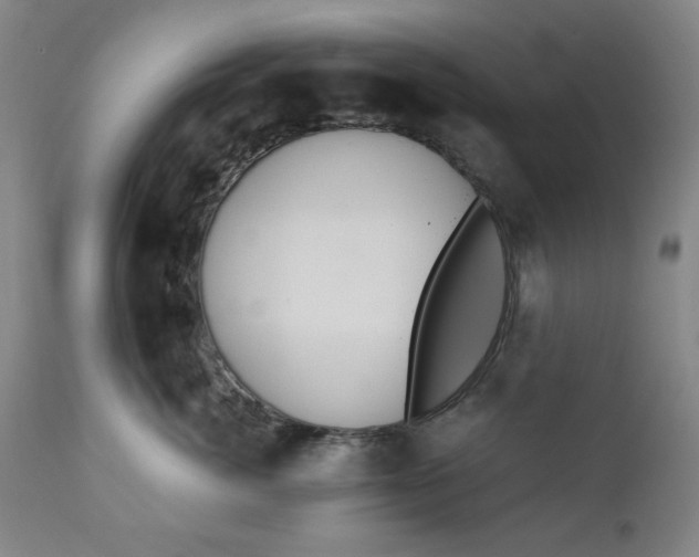 X0000110910764200907021435