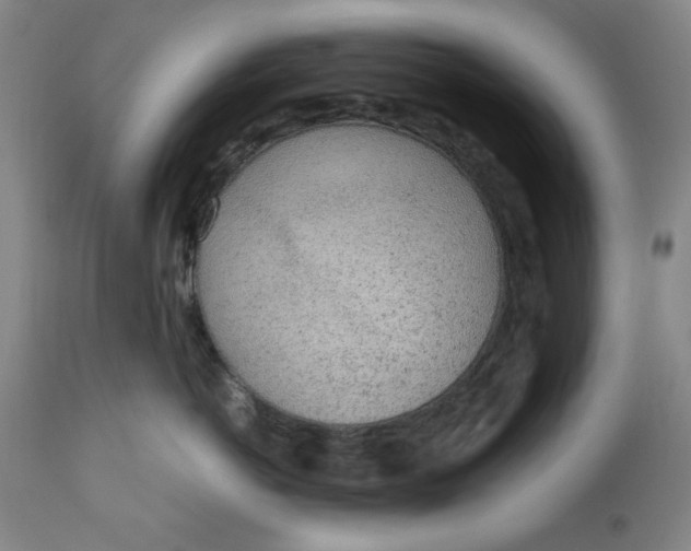 X0000110910766200907021435