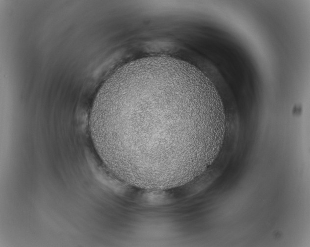 X0000110910767200907021435