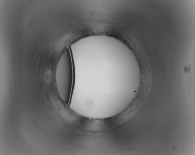 X0000110910768200907021435