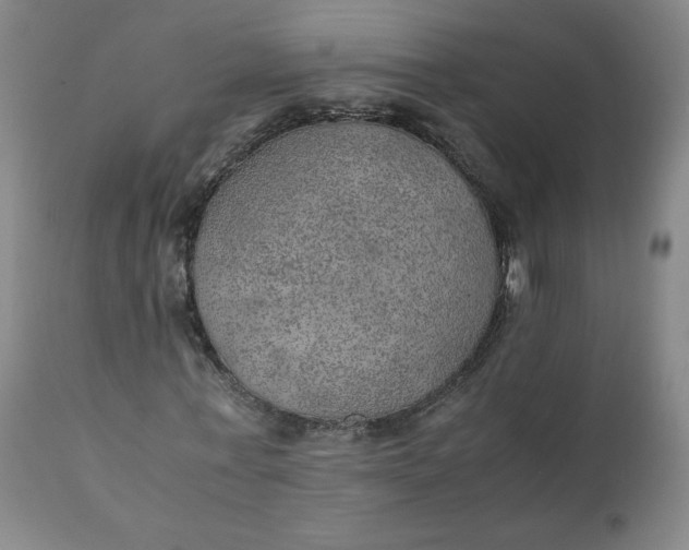 X0000110910771200907021434