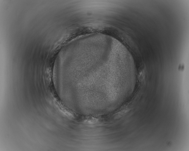 X0000110910772200907021434