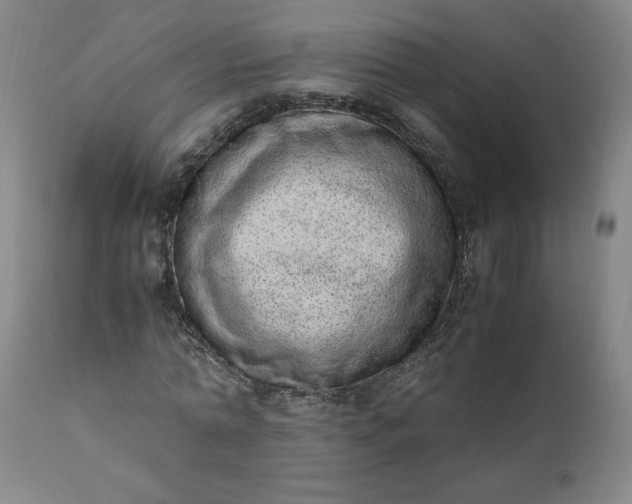 X0000110910774200907021434