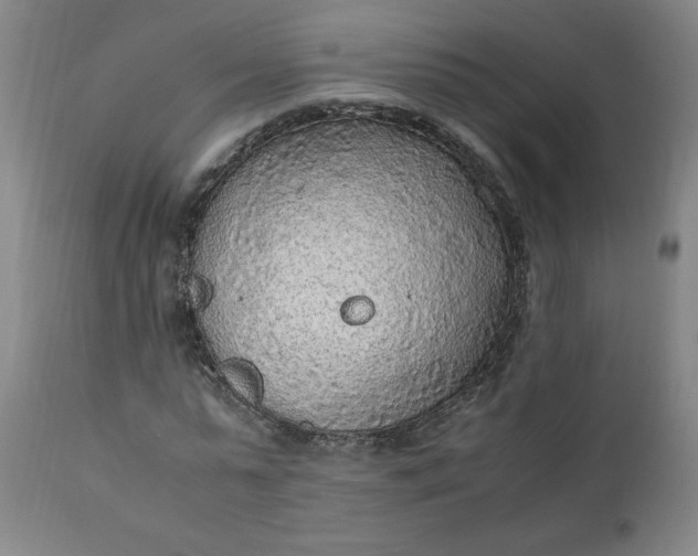 X0000110910775200907021434