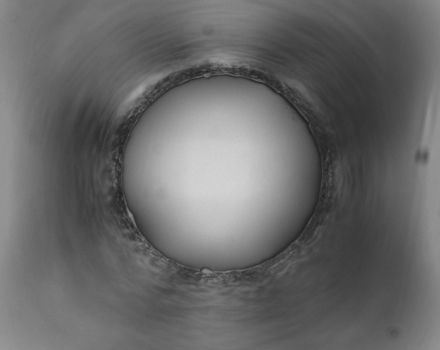 X0000110910776200907021434