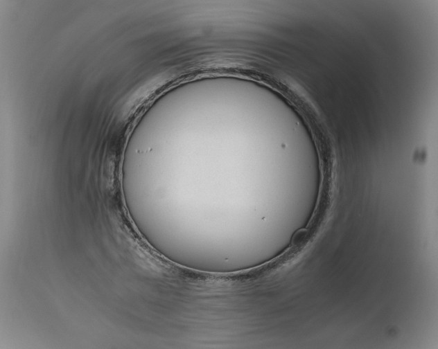 X0000110910777200907021434