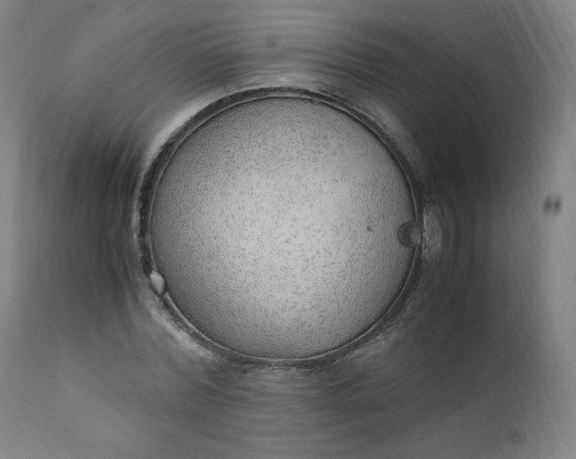 X0000110910780200907021434