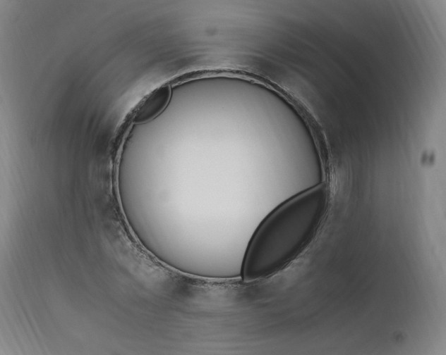 X0000110910781200907021434