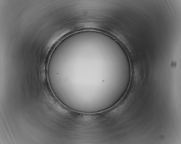 X0000110910782200907021434