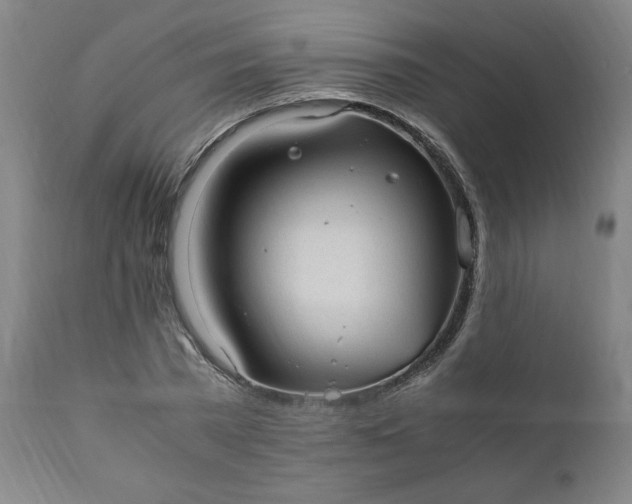 X0000110910785200907021434