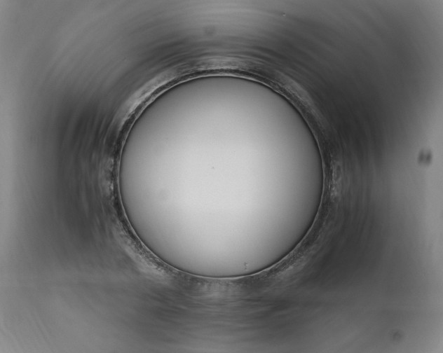 X0000110910786200907021434