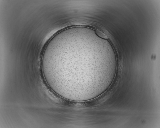 X0000110910787200907021434