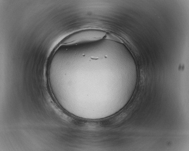 X0000110910788200907021434