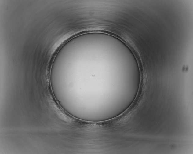 X0000110910789200907021434