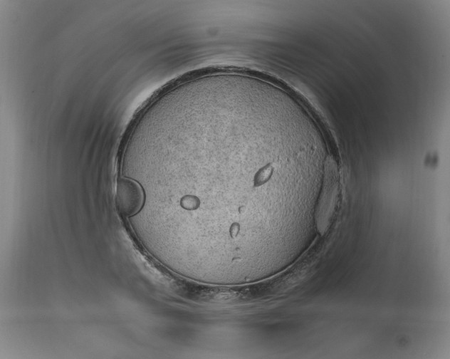 X0000110910791200907021434